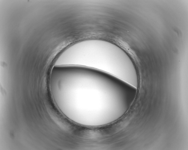 X0000091360250200708101100