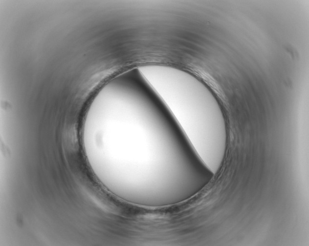X0000091360251200708101100