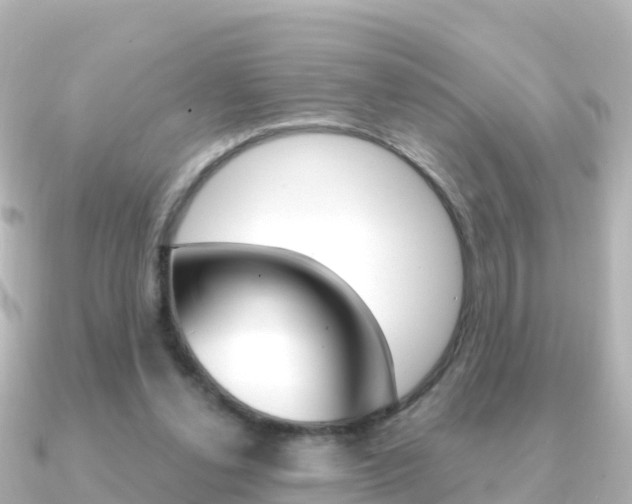 X0000091360252200708101100