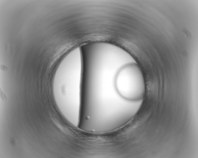 X0000091360254200708101100