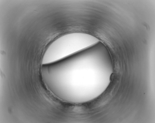 X0000091360255200708101100