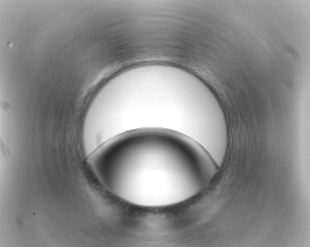 X0000091360256200708101100