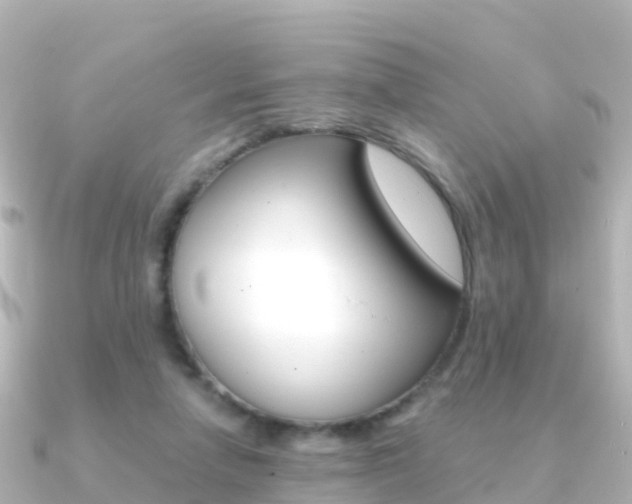 X0000091360258200708101100