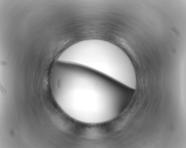 X0000091360259200708101100
