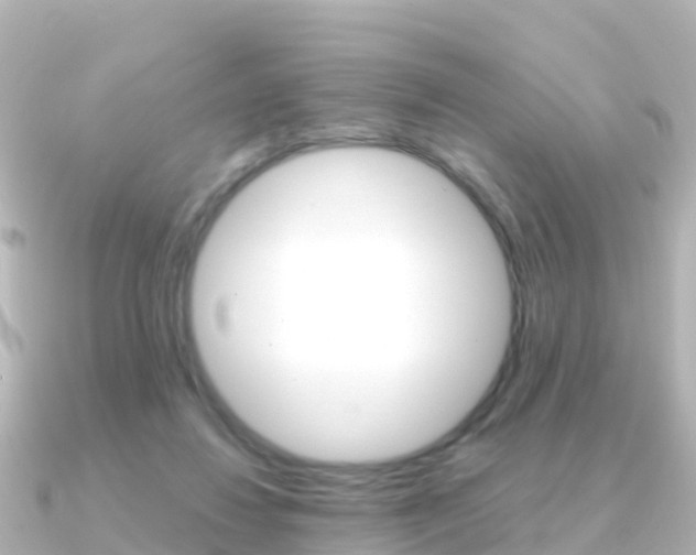 X0000091360260200708101100