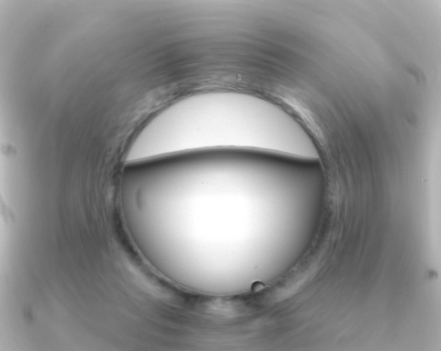 X0000091360261200708101100