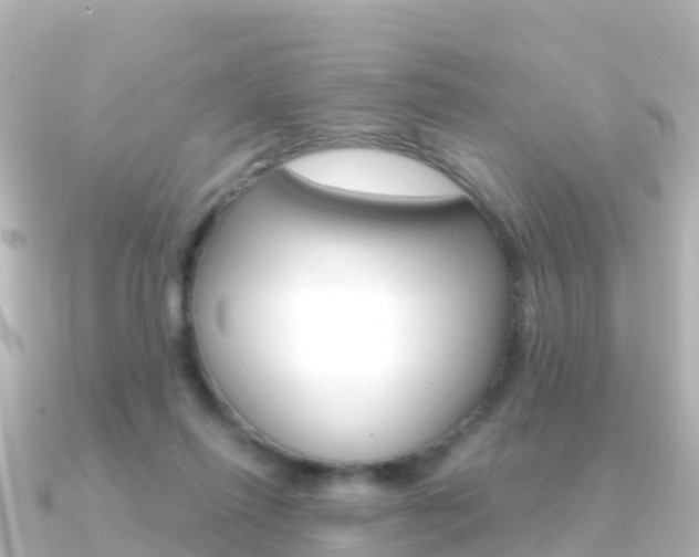 X0000091360262200708101100