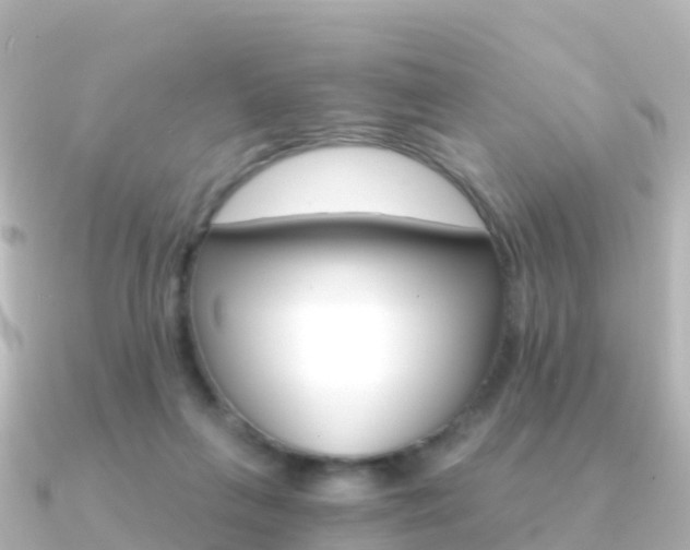 X0000091360263200708101100