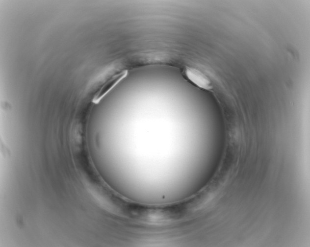 X0000091360264200708101100