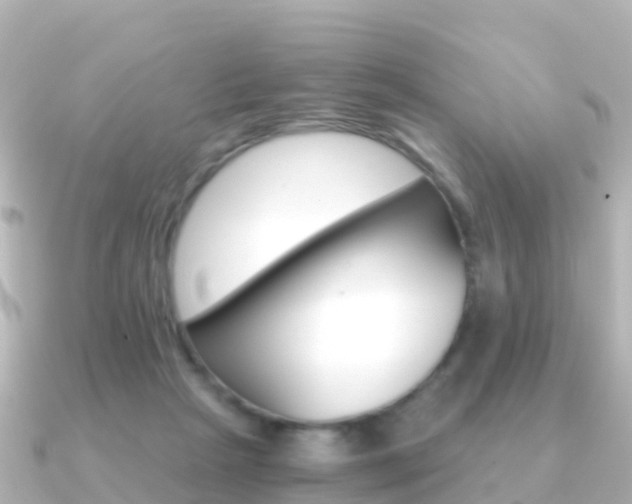 X0000091360265200708101100