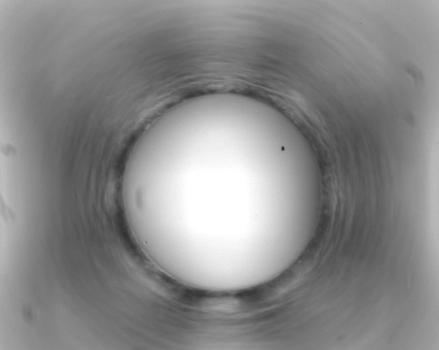 X0000091360266200708101100