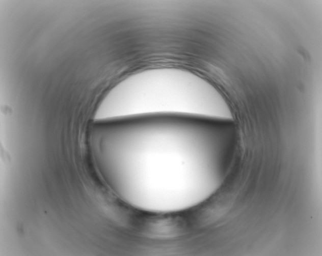 X0000091360267200708101100