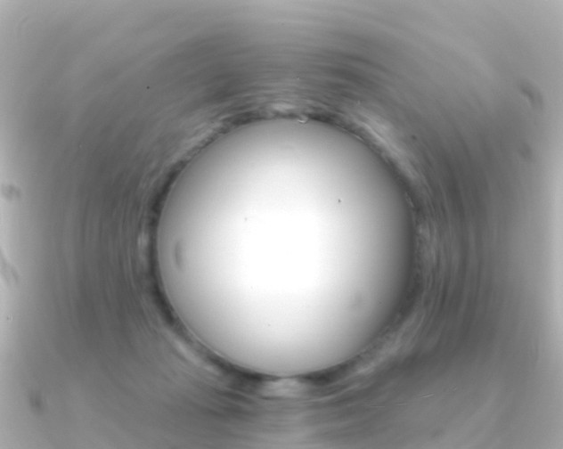 X0000091360269200708101100