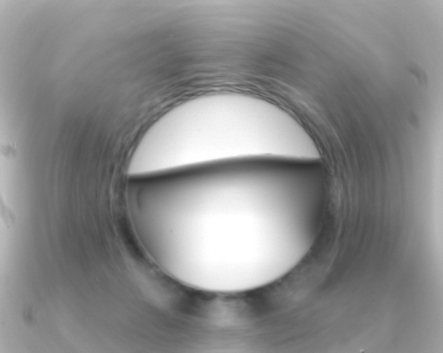 X0000091360270200708101100