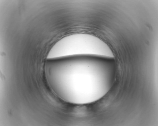 X0000091360271200708101100