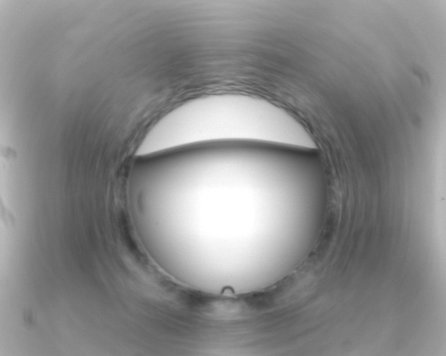 X0000091360272200708101100