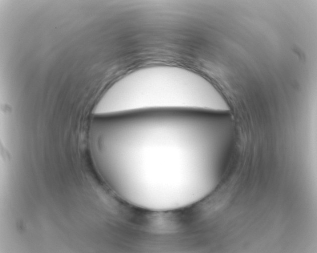 X0000091360273200708101100