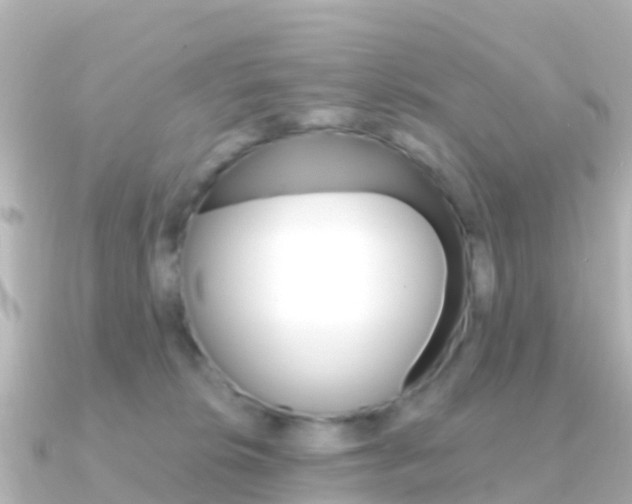 X0000091360276200708101100