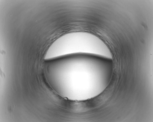 X0000091360277200708101100