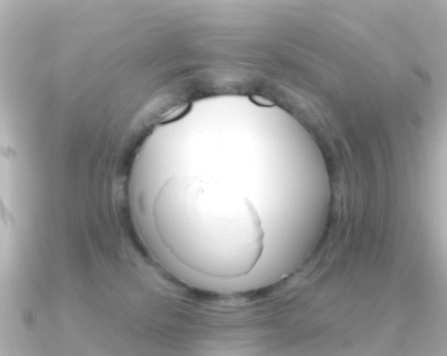 X0000091360278200708101100