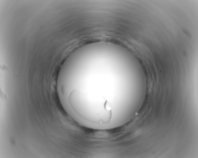 X0000091360279200708101100