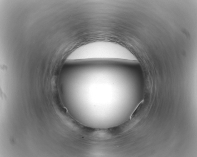 X0000091360280200708101100