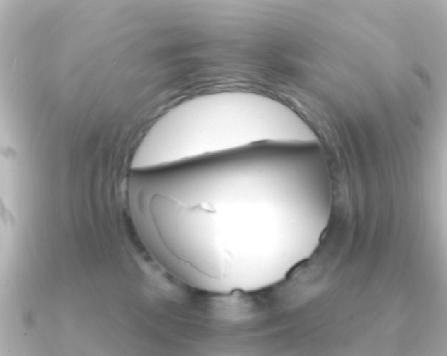 X0000091360281200708101100