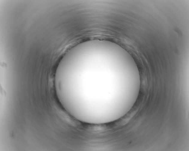 X0000091360282200708101100