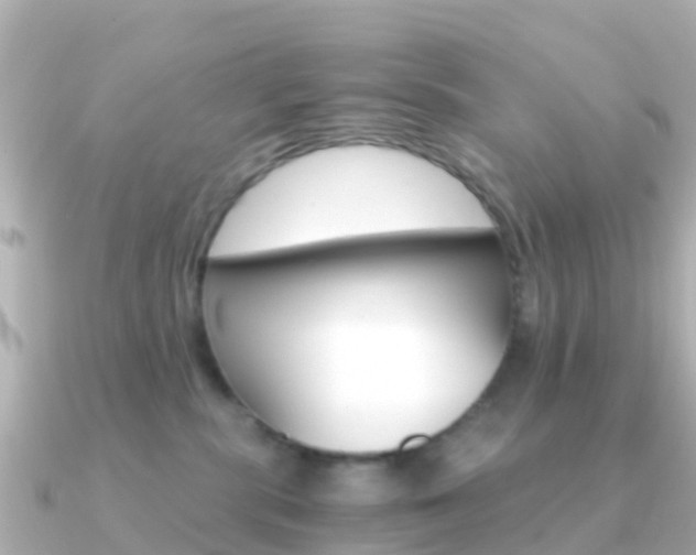 X0000091360283200708101100