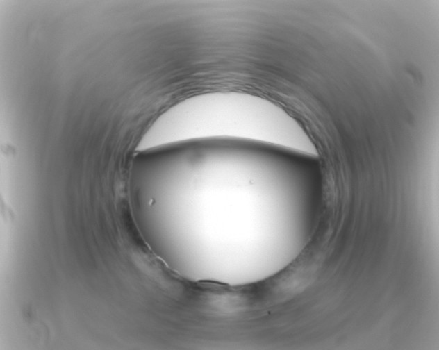 X0000091360284200708101100