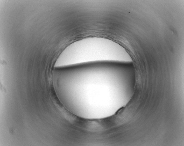 X0000091360285200708101100
