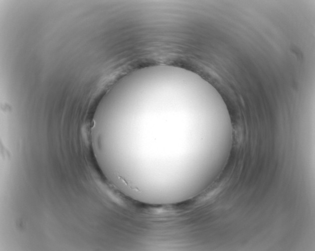 X0000091360286200708101100
