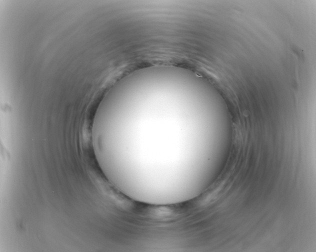 X0000091360287200708101100
