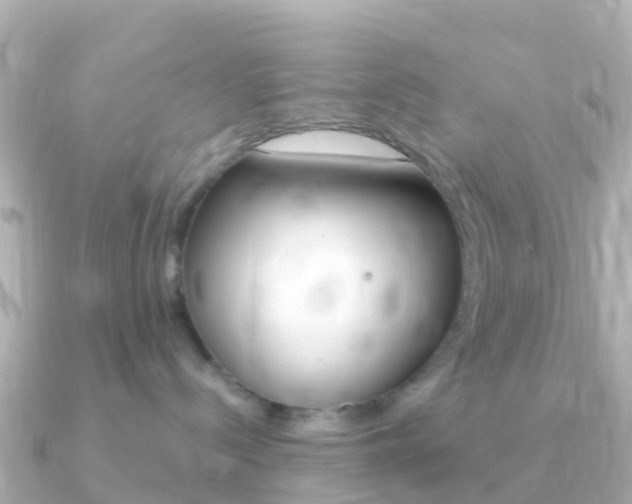 X0000091360288200708101100