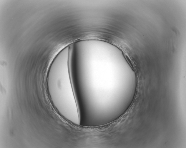 X0000091360289200708101059