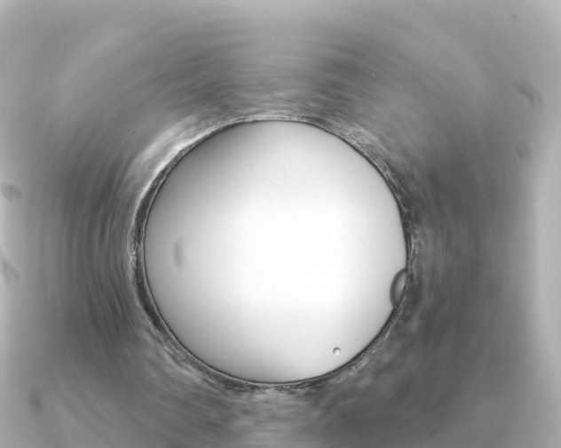 X0000091360290200708101059