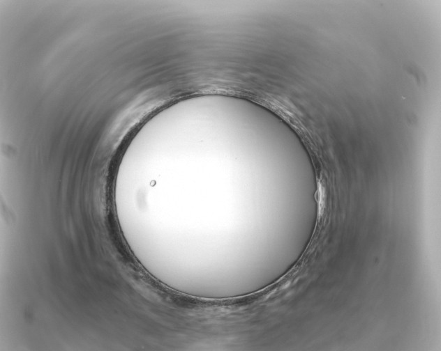 X0000091360291200708101059