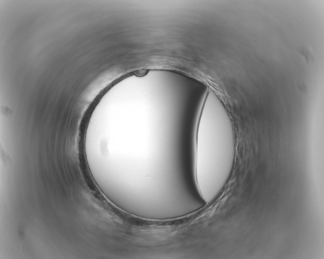 X0000091360292200708101059