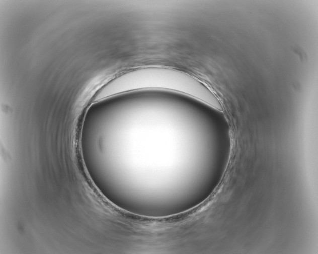 X0000091360293200708101059