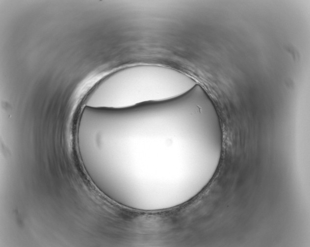 X0000091360294200708101059