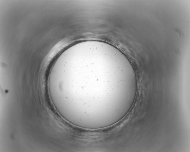 X0000091360295200708101059
