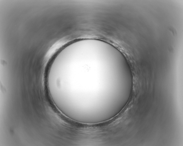 X0000091360296200708101059