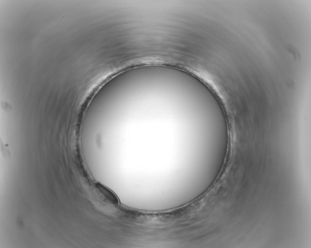 X0000091360297200708101059