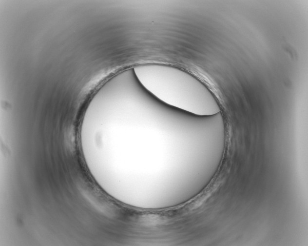 X0000091360298200708101059