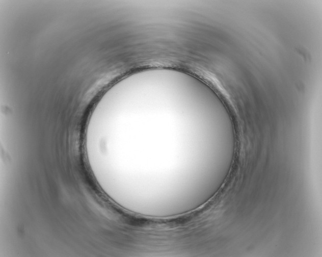 X0000091360299200708101059