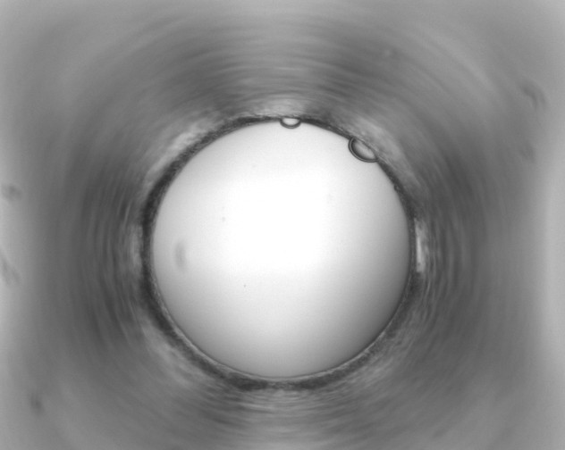 X0000091360300200708101059