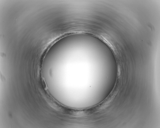 X0000091360301200708101059