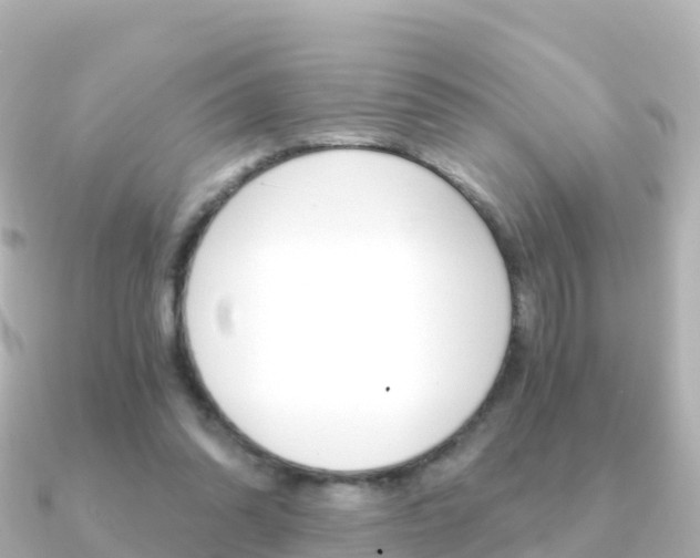 X0000091360302200708101059