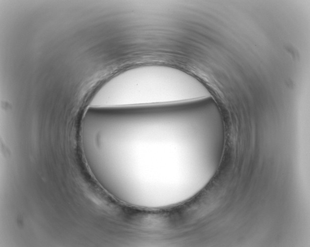X0000091360303200708101059