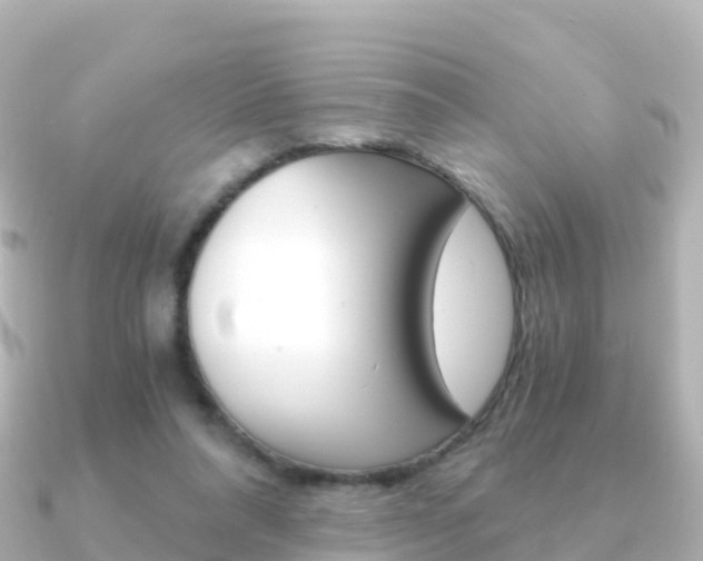 X0000091360304200708101059